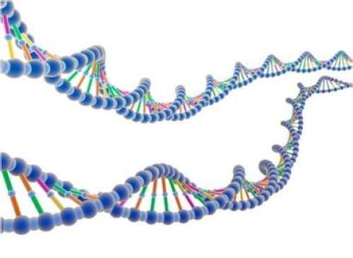 分子诊断：精准医疗的“重要推手”